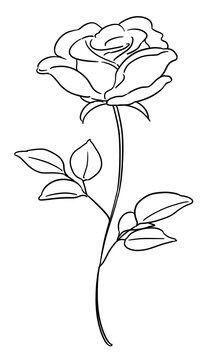 recommend clip art: シンプルな一輪のバラのイラスト　線画