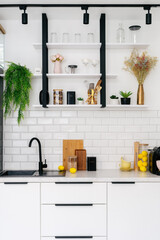 Modern kitchen interior with open shelving and decorative plants