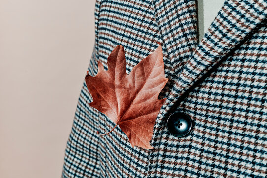 man with a dry leaf on his coat