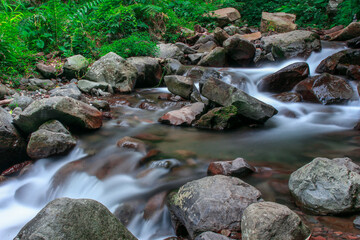 stream in the forest