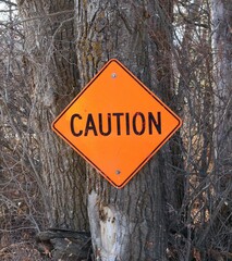 Diamond shaped orange caution sign attached to a tree on a country road.