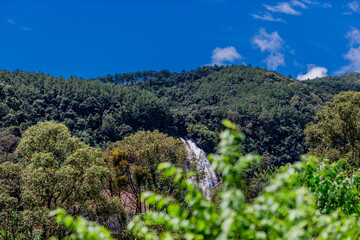 Panoramic nature background from the viewpoint with mountains, big trees, green rice fields, the joy of adventure travel and energy conservation from the ecosystem.