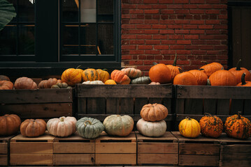 Assorted pumpkins displayed in wooden crates against a brick wall.