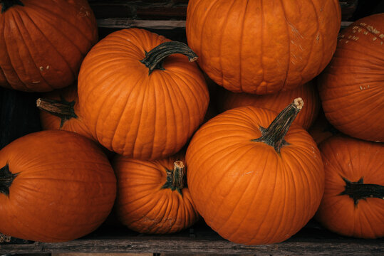 Close-up of Orange Pumpkins in a Wooden Crate
