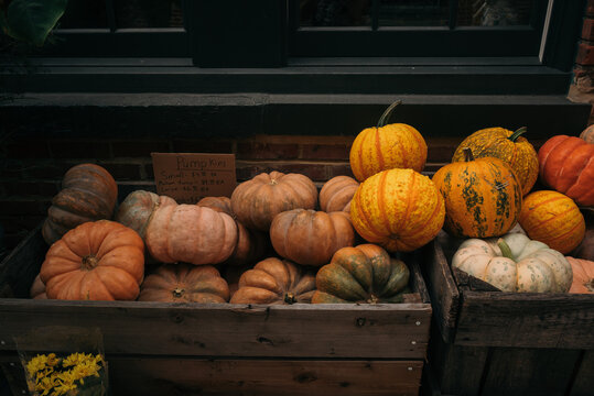 pumpkins displayed in wooden crates against a brick wall.