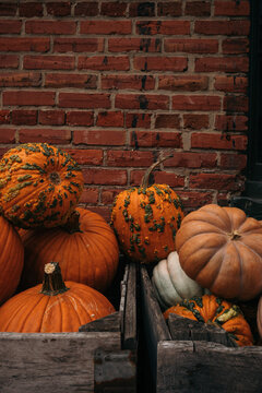 Orange and pale pumpkins in a wooden crate.