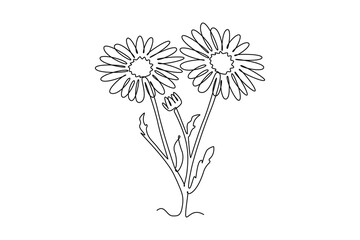 Single continuous line drawing beauty fresh bellis perennis for home wall decor poster art. Printable decorative common daisy flower concept. Dynamic one line draw graphic design vector illustration