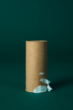 toilet paper roll with no paper