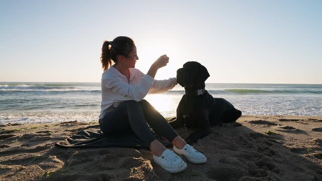 Happy woman sits on beach with black dog Great Dane, sharing quiet, happy moment in sun up dawn summer. Peaceful seaside, bond between pet and owner, soft sunlight by ocean summer. Pet care. Travel