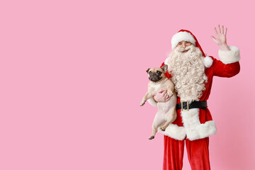 Santa Claus with cute French bulldog waving hand on pink background