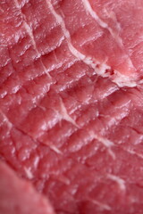 Macro Images of Raw Meats Like Beef, Salmon, Bacon, Salami