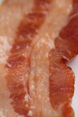 Macro Images of Raw Meats Like Beef, Salmon, Bacon, Salami