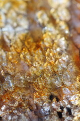 Macro Images of Raw Meats Like Beef, Salmon, Bacon, Salami