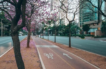 Faria Lima Avenue, São Paulo, Brazil