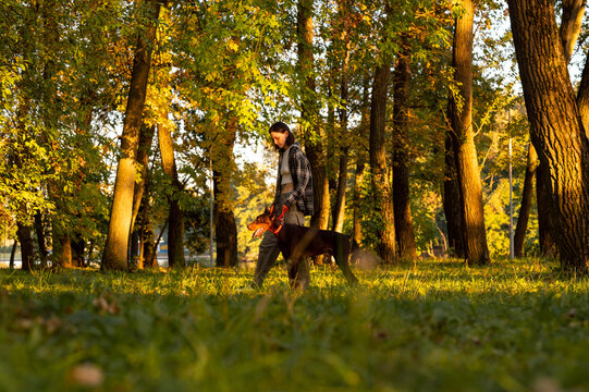 A woman walks her dog