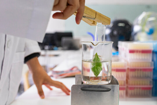 Scientist working