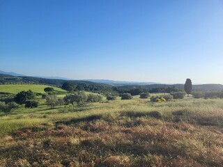 Florence Countryside © Erica