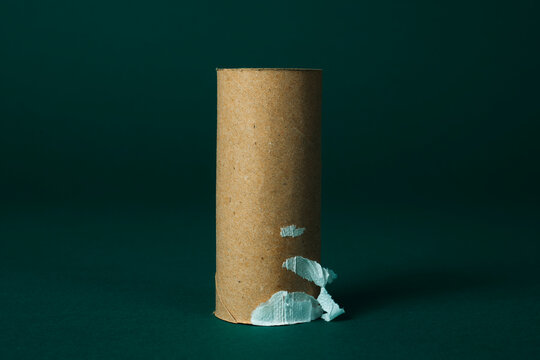 finished toilet paper roll