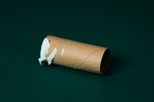 toilet paper roll without toilet paper