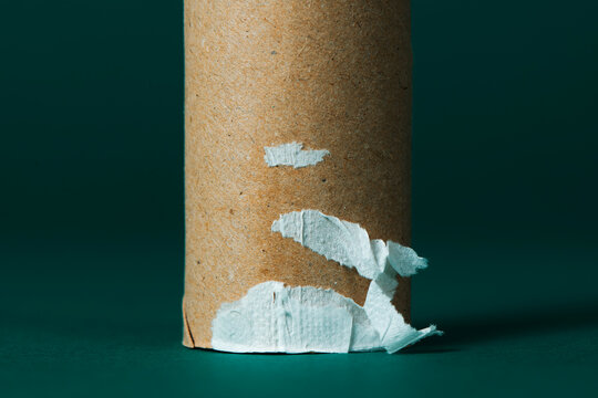 closeup of a finished toilet paper roll