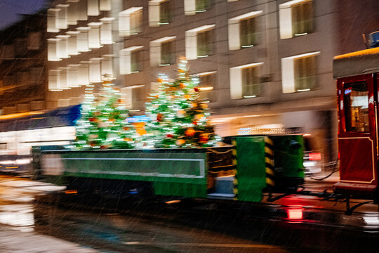 Christmas Tree Delivery