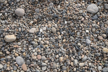 beach stones round assorted