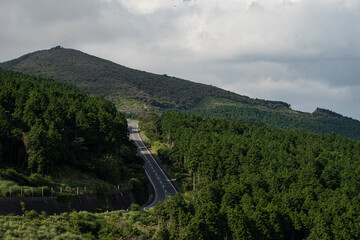 夏の西天城高原線