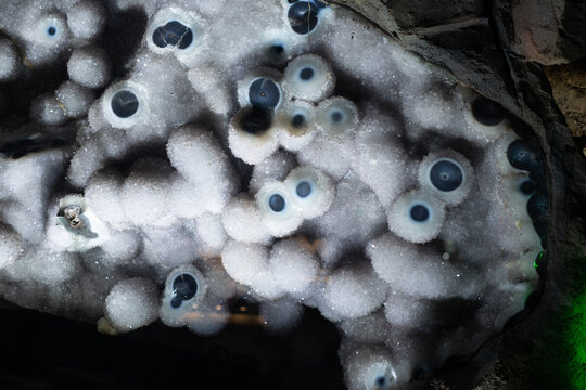 Crystals of gypsum in cave