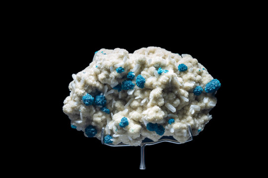 Vibrant blue cavansite spheres on zeolitic matrix mineral specimen.