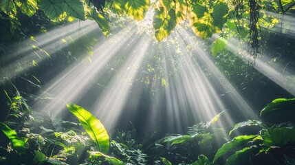 Bright shafts of sunlight penetrate the green foliage, illuminating the dense undergrowth in a serene tropical forest setting. Generative AI