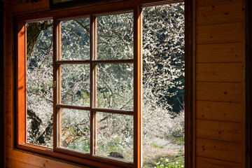 Wooden Window Frame Plum Blossom Tree View