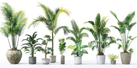 Obraz premium Various flowers plant in the pots isolated on white version 4