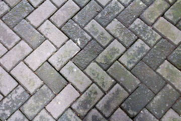 Paving Pattern for Home Yard