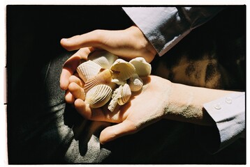 Gathering Seashells in Gentle Light by the Shore