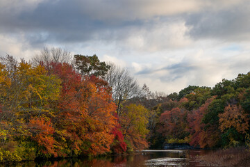 fall foliage around a river