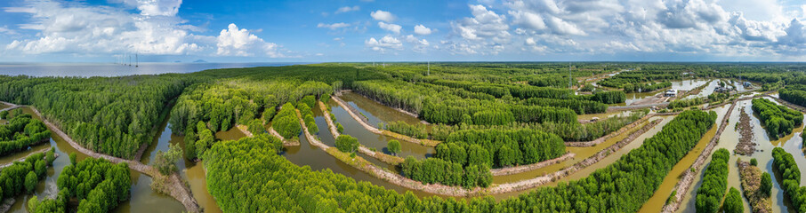 Aerial view of mangrove forests and the Ca Mau cape Sea in Ca Mau, Vietnam, highlighting the region’s natural beauty and biodiversity