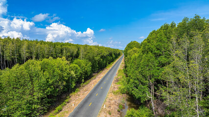 Road from Nam Can to Ca Mau cape, between mangrove forests highlighting the region’s natural beauty and biodiversity, Vietnam