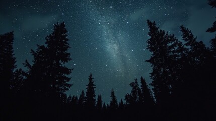 Fototapeta premium How to photograph the night sky during meteor showers: Tips on capturing meteors and constellations in the same frame.