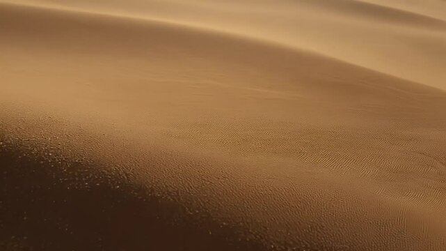 Abstract close-up of golden sand dunes under warm sunlight.