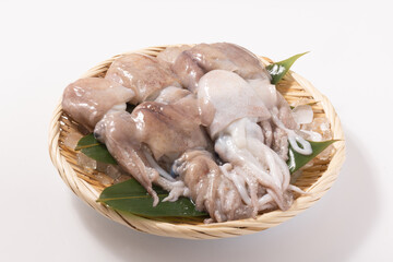 ［山形県　庄内産］ボウズイカ