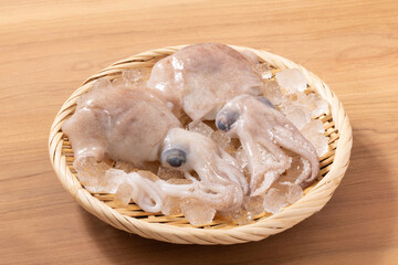 ［山形県　庄内産］ボウズイカ