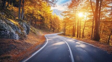 Fototapeta premium Autumnal Road through the Forest