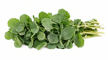 Fototapeta premium Fresh Mint Leaves Isolated on White Background, Perfect for Culinary Uses, Herbal Remedies, and Natural Ingredients in Photography or Design Projects
