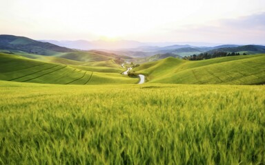Obraz premium Serene Meadow Landscape: A picturesque view of rolling green hills bathed in golden sunlight, with a winding path leading through the heart of the valley.