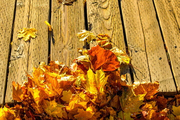 fall leaves on light brown textured  wooden boards room for text suitable as background or banner