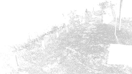 Fototapeta premium Artistic and abstract image. Wallpaper