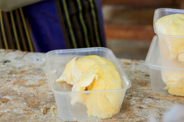 Delicious Fresh Durian Montong Fruit at Organic Market