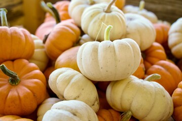 pile of pumpkins