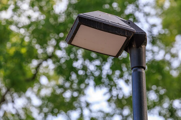 A street light is lit up in a park