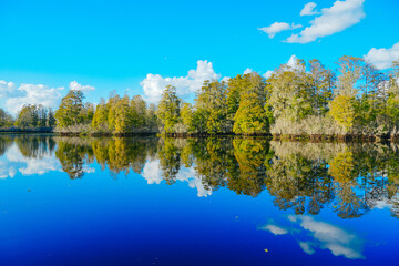 Winter Landscape of Hillsborough river at Lettuce lake park	
